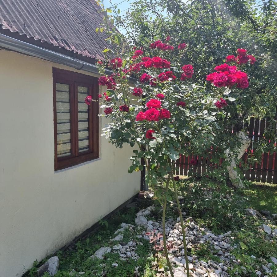 Vila Paula & Spa Sovata Eksteriør bilde