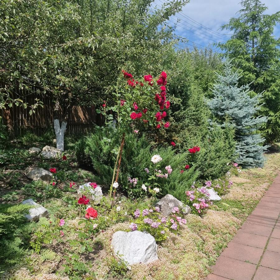 Vila Paula & Spa Sovata Eksteriør bilde