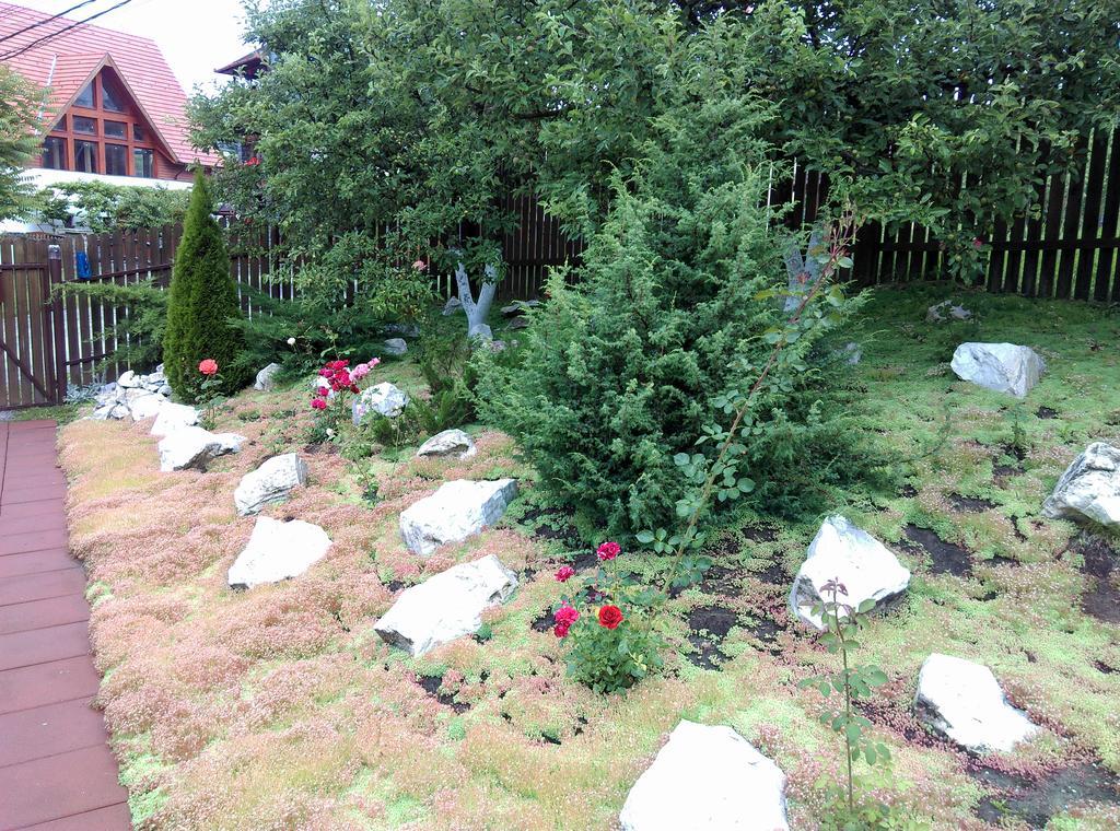 Vila Paula & Spa Sovata Eksteriør bilde